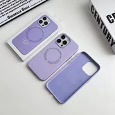 Чехол iPhone 11 Leather Candy MagSafe (желтый)